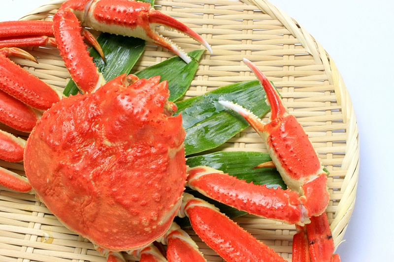 Crab(クラブ)